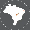 Soft News Soft News