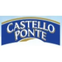 Castello Ponte