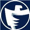 Falcon Inc.