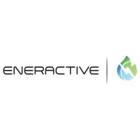 ENERACTIVE LLC
