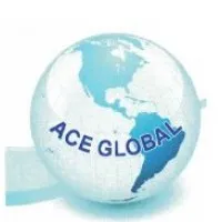 Ace Global Accountants and Auditors