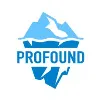 Profound Online Marketing Profound Online Marketing
