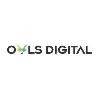 Owls Digital Marketing Agency Toronto