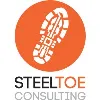 SteelToe Consulting LLC SteelToe Consulting LLC
