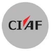 Civil Aviation Finance Holding Co. (CIAF Holding)