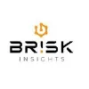 Brisk Insights India Private Limited Brisk Insights India Private Limited