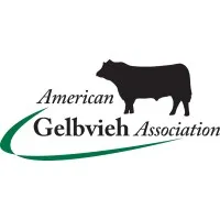 American Gelbvieh Association