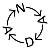 New Art Dealers Alliance (NADA)