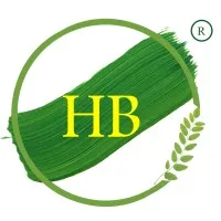 HB ASSOCIATES