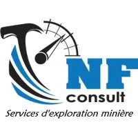 NF Consult email format