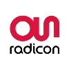 Assystem Radicon Assystem Radicon
