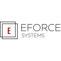Eforce Systems, Inc