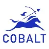 Cobalt Partners Cobalt Partners