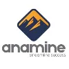 Anamine Group of Companies