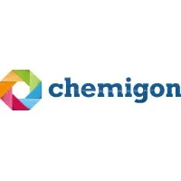 CHEMIGON LLC