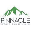 Pinnacle Consulting Management Group, Inc. Pinnacle Consulting Management Group, Inc.