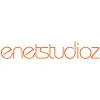 ENETSTUDIOZ INC ENETSTUDIOZ INC
