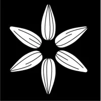 Heshima Seeds Limited Heshima Seeds Limited