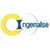 Ingenalse S.A Ingenalse S.A