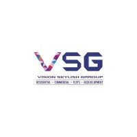 VISION SKYLISH GROOP LIMITED VISION SKYLISH GROOP LIMITED