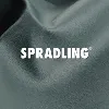 Spradling International, Inc. Spradling International, Inc.
