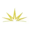 Stellar Jewelry Stellar Jewelry