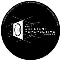 The Gradient Perspective