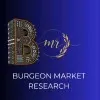 Burgeon market research Burgeon market research