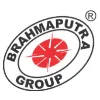 Brahmaputra Infrastructure Ltd Brahmaputra Infrastructure Ltd