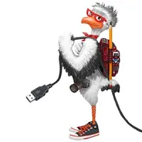 Hungry Bird Creative Group - we feed on big ideas