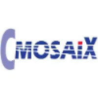 CMOSAIX Ltd