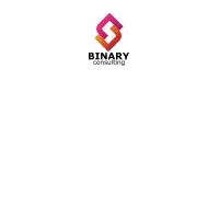 Binary Consulting