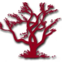 Native Resources Intl.