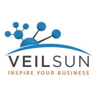VeilSun, Inc. VeilSun, Inc.