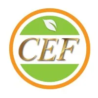 CEF Group
