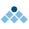Management Solutions International (MSI)