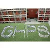 GHPS School(Guru Harkrishan Public School) GHPS School(Guru Harkrishan Public School)