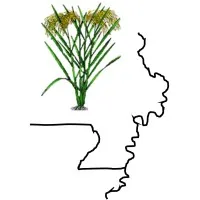 MOARK Agricultural Research, LLC