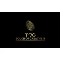 TOG  - Touch of Greatness consulting