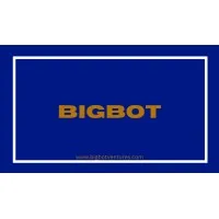 BigBot Ventures