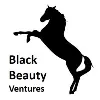 Black Beauty Ventures Black Beauty Ventures