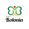 Grupo Bolonia Grupo Bolonia