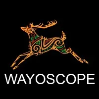 WAYOSCOPE email format