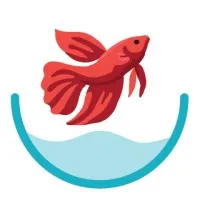 Betta World For Bettas Betta World For Bettas