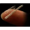 MRIGlobalMedDevice MRIGlobalMedDevice