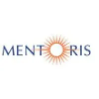Mentoris Solutions Pvt Ltd