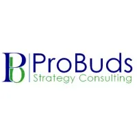 ProBuds Strategy Consulting 