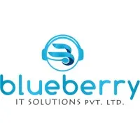 Blueberry IT Solutions