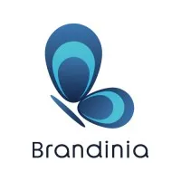 Brandinia FZ-LLC