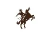 Buckaroo India Buckaroo India